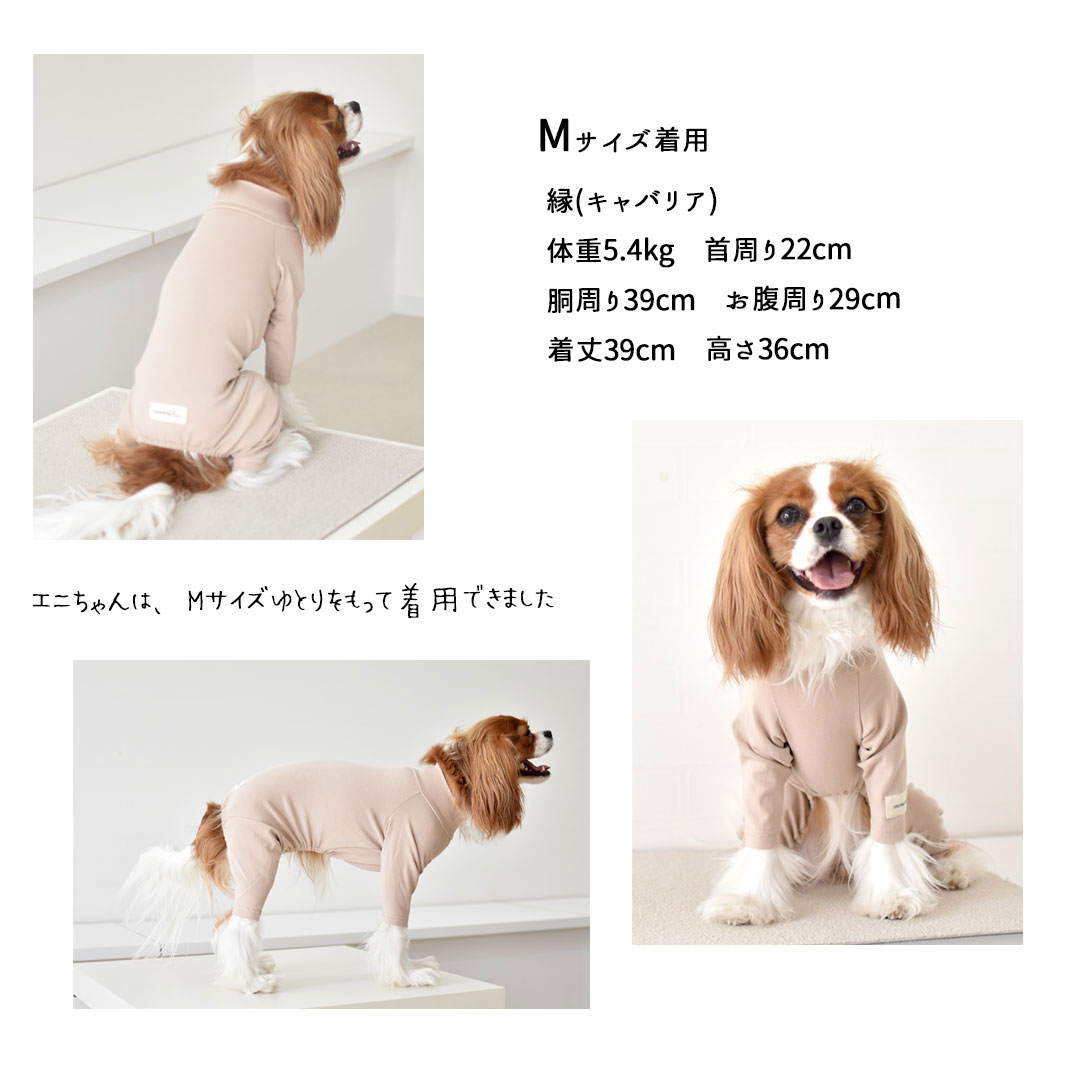 カバーオール 犬 犬服 ペット snowdrop ロンパース オールインワン つなぎ 部屋着 インナー  伸縮性 ゆうパケット対応 | ブランド登録なし | 06