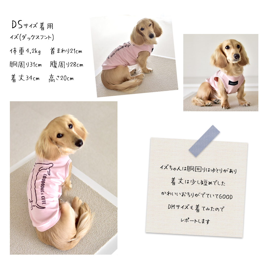 ダックス柄　Long is cute　タンクトップ ロゴ ダックス　のびのび ストレッチ　犬　服　タンク　ノースリーブ　snowdrop  ゆうパケット対応