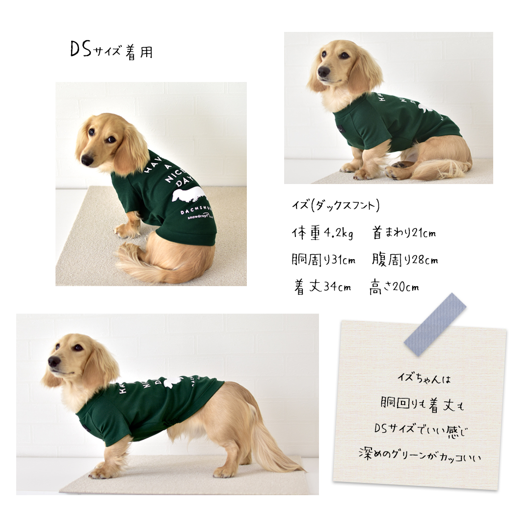 ダックス HAVE A NICE DAY フレンチ袖Ｔシャツ ロゴ ダックス柄