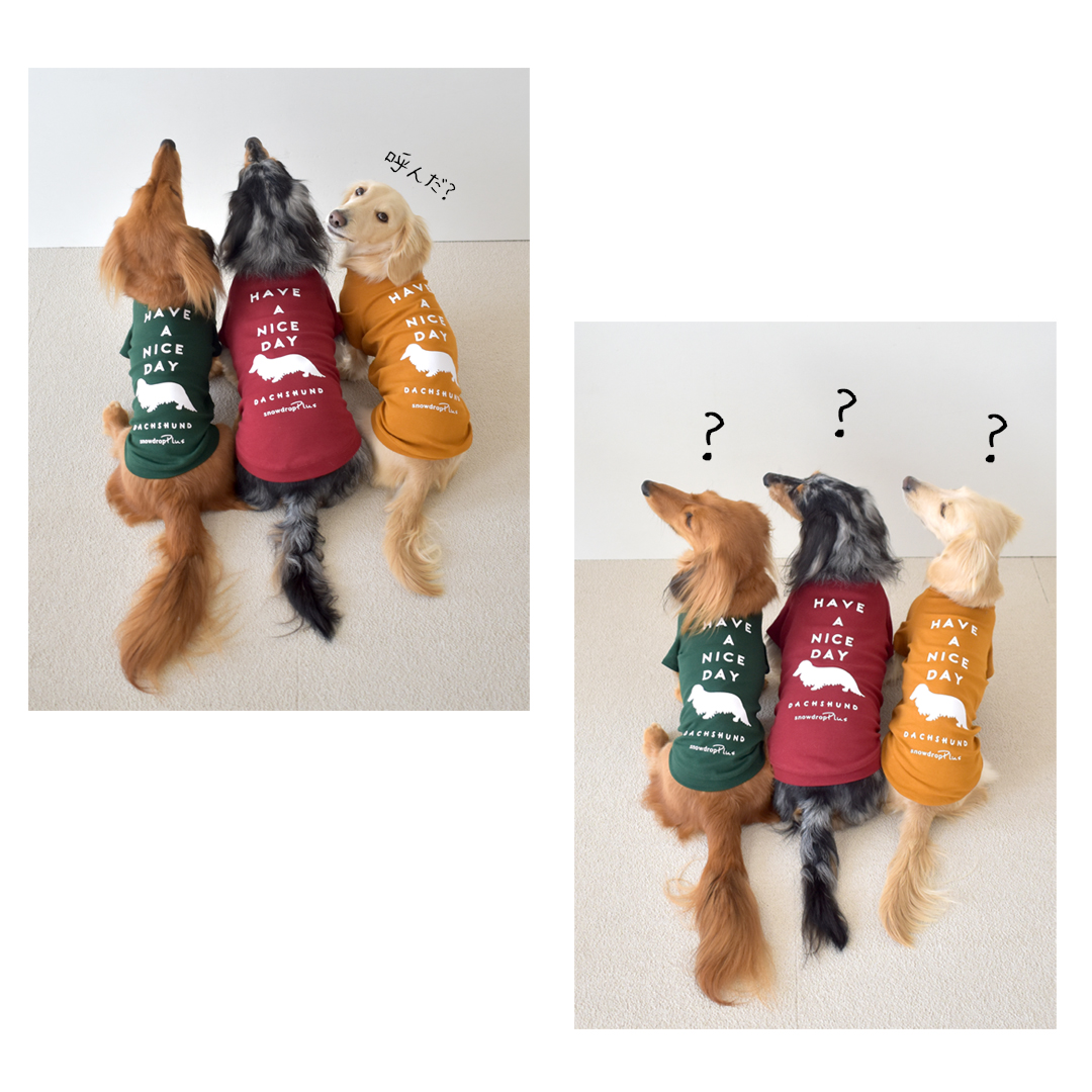 ダックス HAVE A NICE DAY フレンチ袖Tシャツ ロゴ ダックス柄