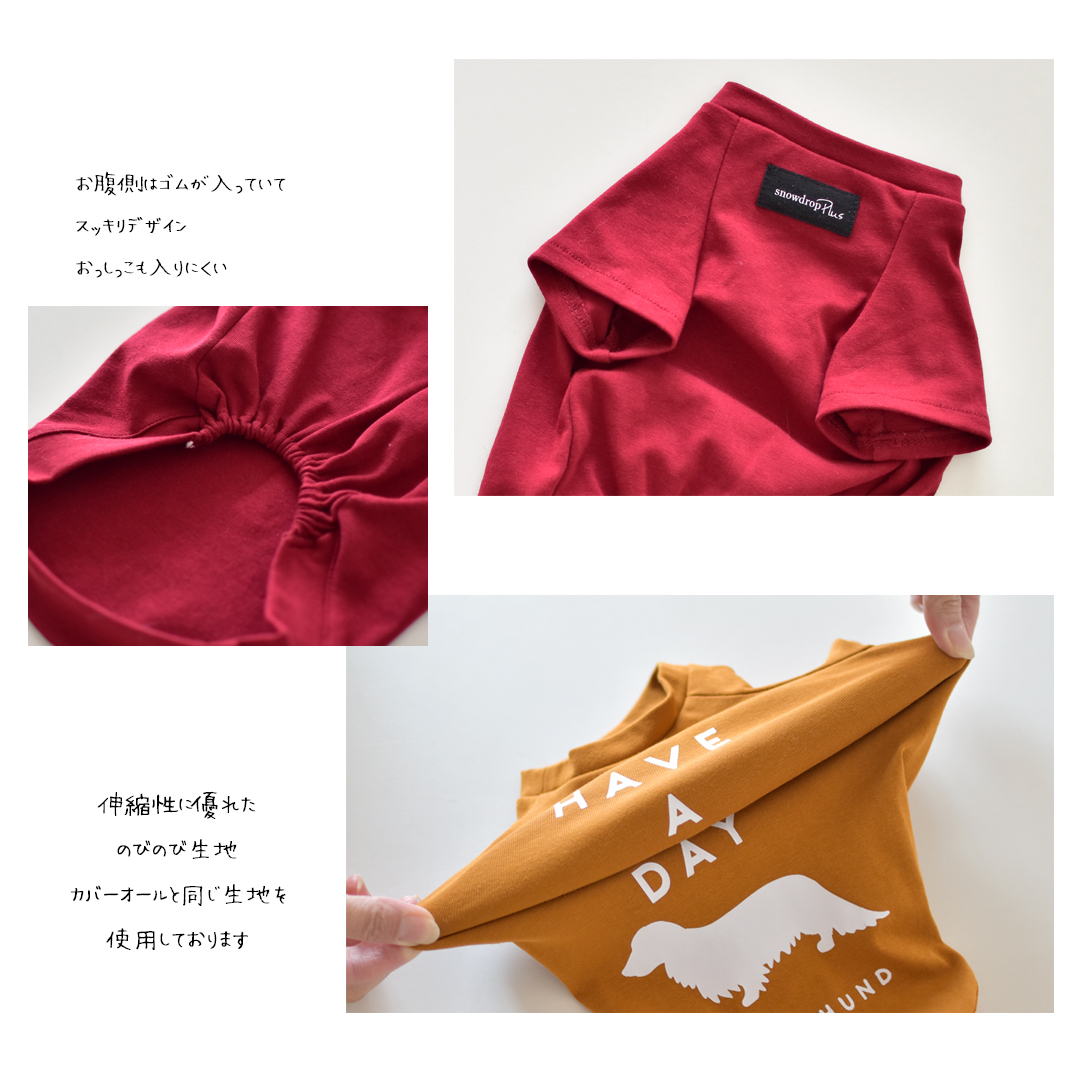 ダックス HAVE A NICE DAY フレンチ袖Tシャツ ロゴ ダックス柄
