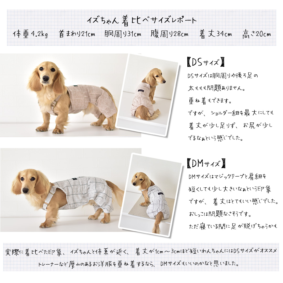 ダックス「オーダー品」確認用 在庫処分SALEの為返品交換不可】ダックスサイズ チェック