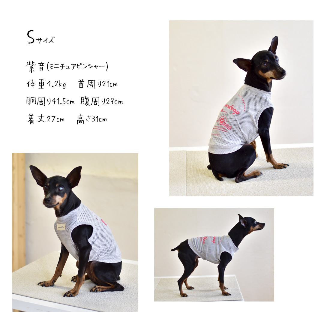 オリジナルロゴ メッシュタンクトップ 犬 服 夏服 メッシュ 涼しい