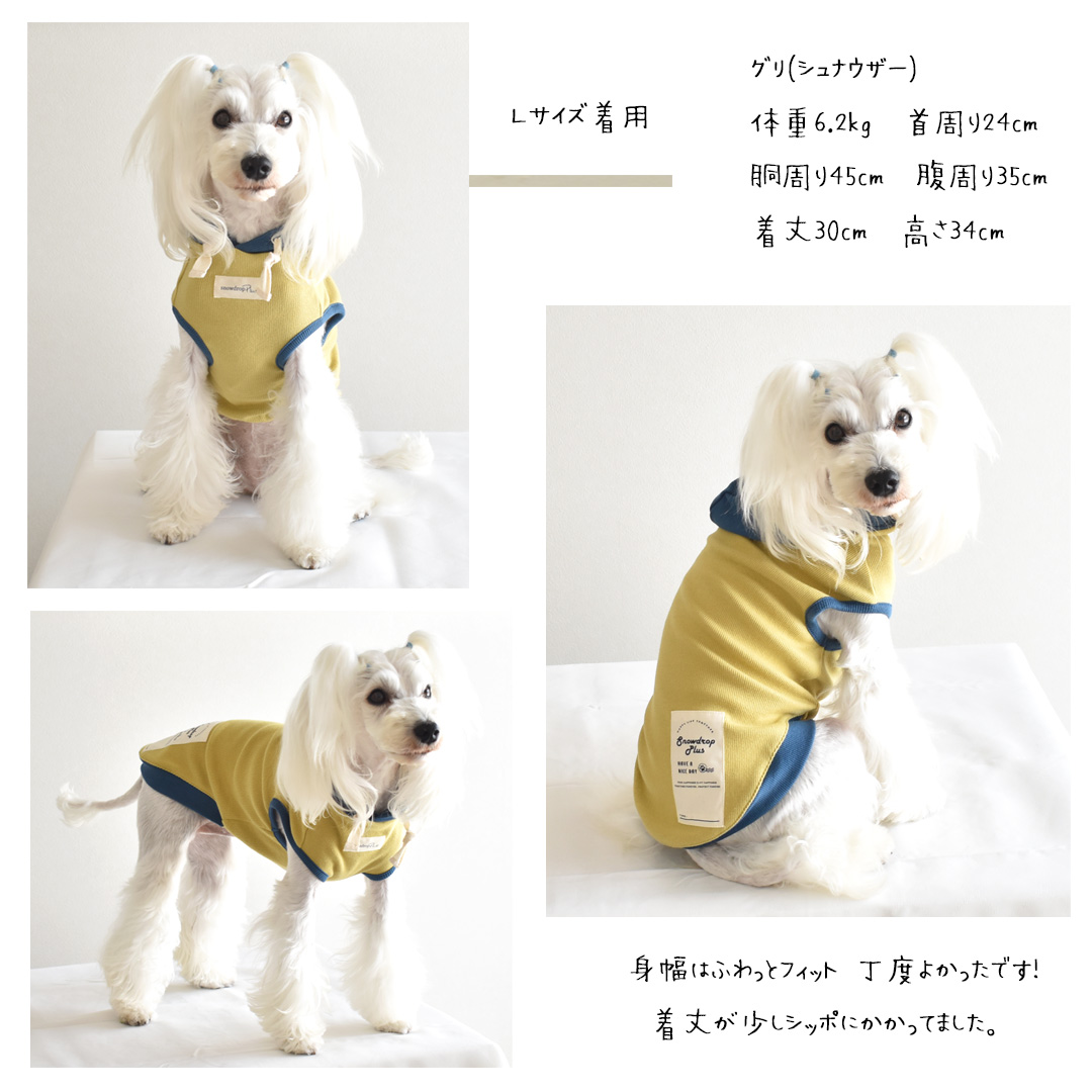 (在庫処分セールの為返品交換不可)リブフード付き　タンクトップ　伸縮 タンク 名入れ 刺繍　フード　2カラー　フード付き　犬　犬服　ペットゆうパケット対応 | ブランド登録なし | 14