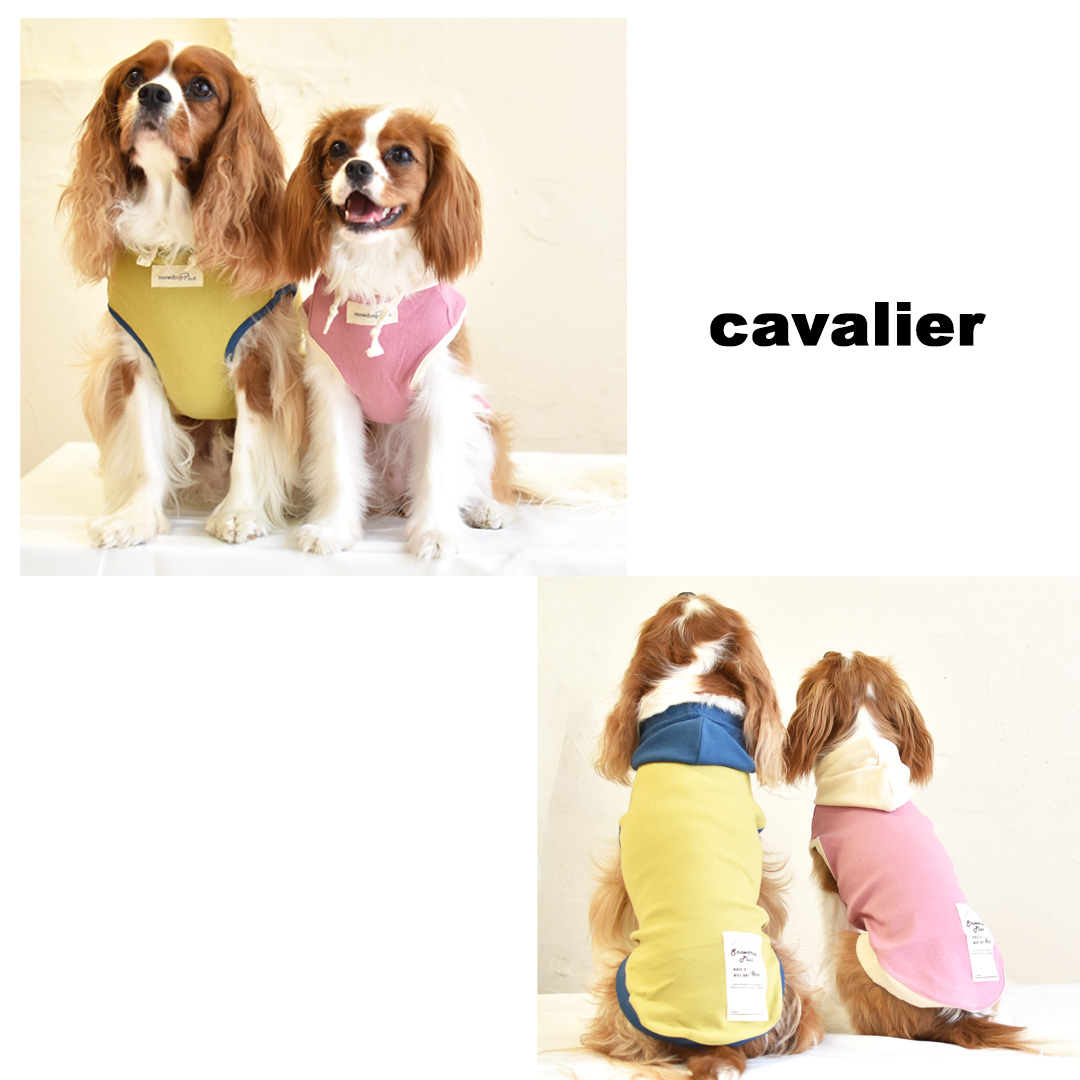 (在庫処分セールの為返品交換不可)リブフード付き　タンクトップ　伸縮 タンク 名入れ 刺繍　フード　2カラー　フード付き　犬　犬服　ペットゆうパケット対応 | ブランド登録なし | 15