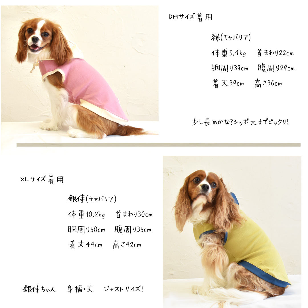 (在庫処分セールの為返品交換不可)リブフード付き　タンクトップ　伸縮 タンク 名入れ 刺繍　フード　2カラー　フード付き　犬　犬服　ペットゆうパケット対応 | ブランド登録なし | 16