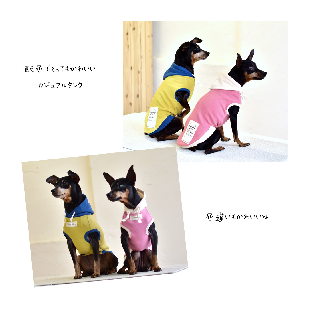 (在庫処分セールの為返品交換不可)リブフード付き　タンクトップ　伸縮 タンク 名入れ 刺繍　フード　2カラー　フード付き　犬　犬服　ペットゆうパケット対応 | ブランド登録なし | 07