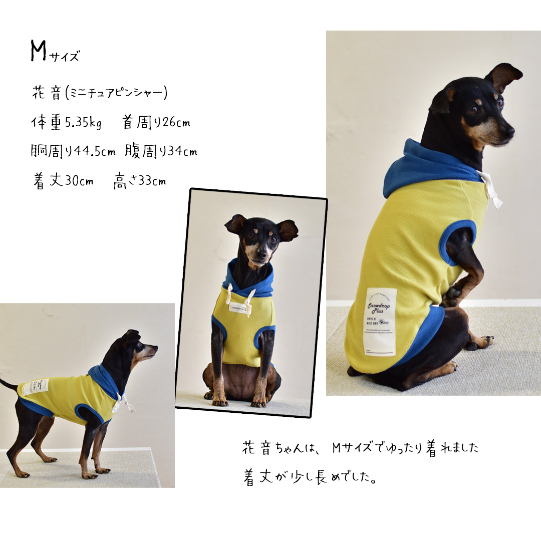 (在庫処分セールの為返品交換不可)リブフード付き　タンクトップ　伸縮 タンク 名入れ 刺繍　フード　2カラー　フード付き　犬　犬服　ペットゆうパケット対応 | ブランド登録なし | 08