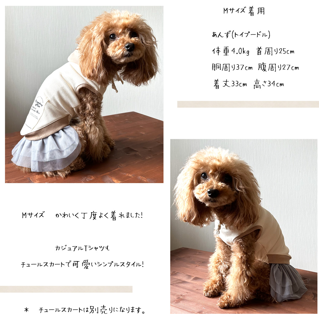 (在庫処分セールの為返品交換不可)リブフード付き　タンクトップ　伸縮 タンク 名入れ 刺繍　フード　2カラー　フード付き　犬　犬服　ペットゆうパケット対応 | ブランド登録なし | 12