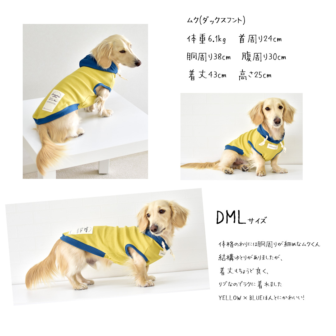 ダックスサイズリブフード付きタンクトップ　名入れ 刺繍 伸縮 タンク　フード　2カラー　フード付き　犬　犬服　ペット　snowdrop ゆうパケット対応