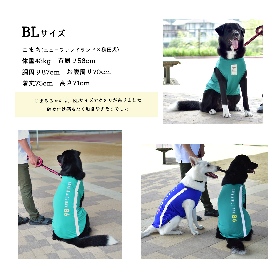 【在庫処分セールの為返品交換不可】大型犬サイズ　オリジナルロゴ　タンクトップ　水着　ラッシュガード　夏服　犬　服　タンクトップ　ゆうパケット対応　 | ブランド登録なし | 02