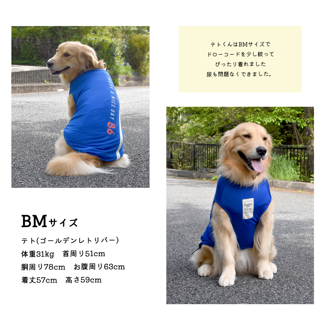 【在庫処分セールの為返品交換不可】大型犬サイズ　オリジナルロゴ　タンクトップ　水着　ラッシュガード　夏服　犬　服　タンクトップ　ゆうパケット対応　 | ブランド登録なし | 03