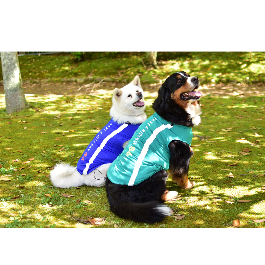 【在庫処分セールの為返品交換不可】大型犬サイズ　オリジナルロゴ　タンクトップ　水着　ラッシュガード　夏服　犬　服　タンクトップ　ゆうパケット対応　 | ブランド登録なし | 04