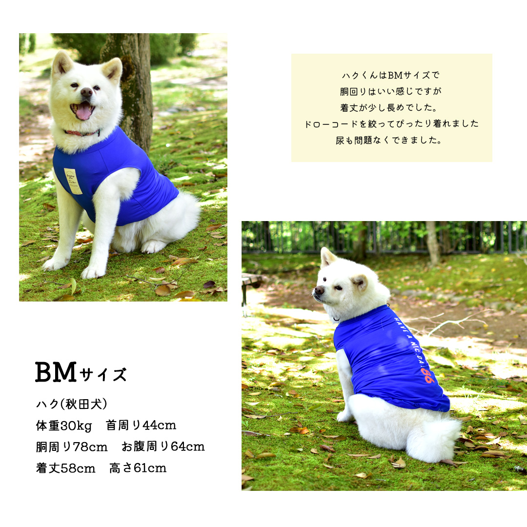 【在庫処分セールの為返品交換不可】大型犬サイズ　オリジナルロゴ　タンクトップ　水着　ラッシュガード　夏服　犬　服　タンクトップ　ゆうパケット対応　 | ブランド登録なし | 06