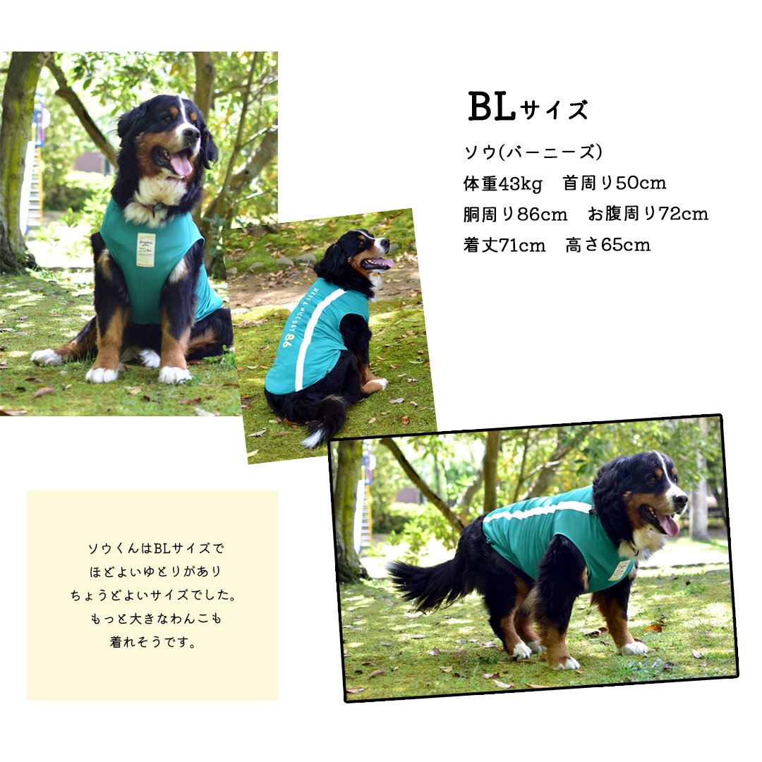 【在庫処分セールの為返品交換不可】大型犬サイズ　オリジナルロゴ　タンクトップ　水着　ラッシュガード　夏服　犬　服　タンクトップ　ゆうパケット対応　 | ブランド登録なし | 07