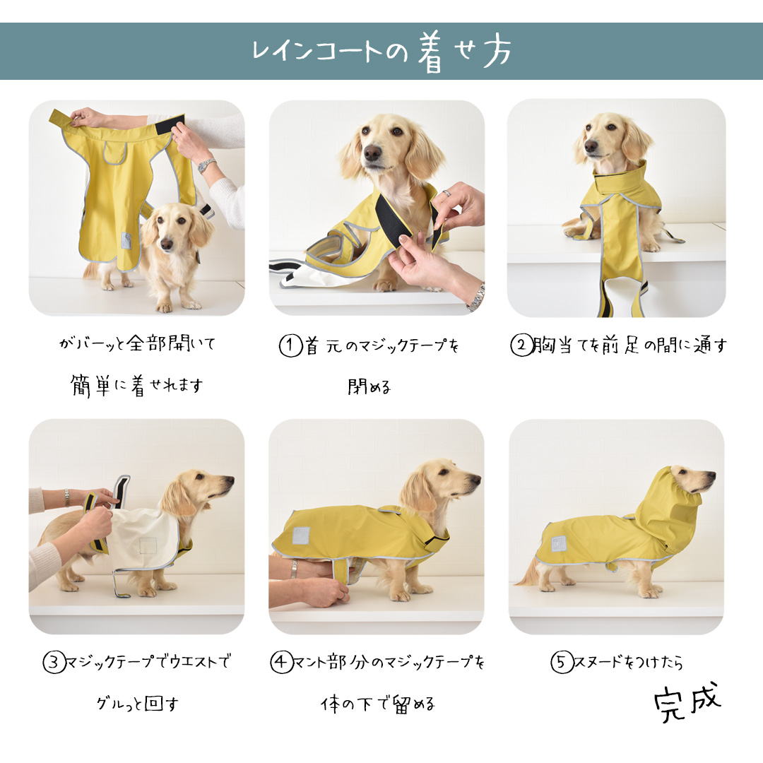 レインコート ダックスサイズ 犬用 雨具 カッパ 防水 泥はね 犬服