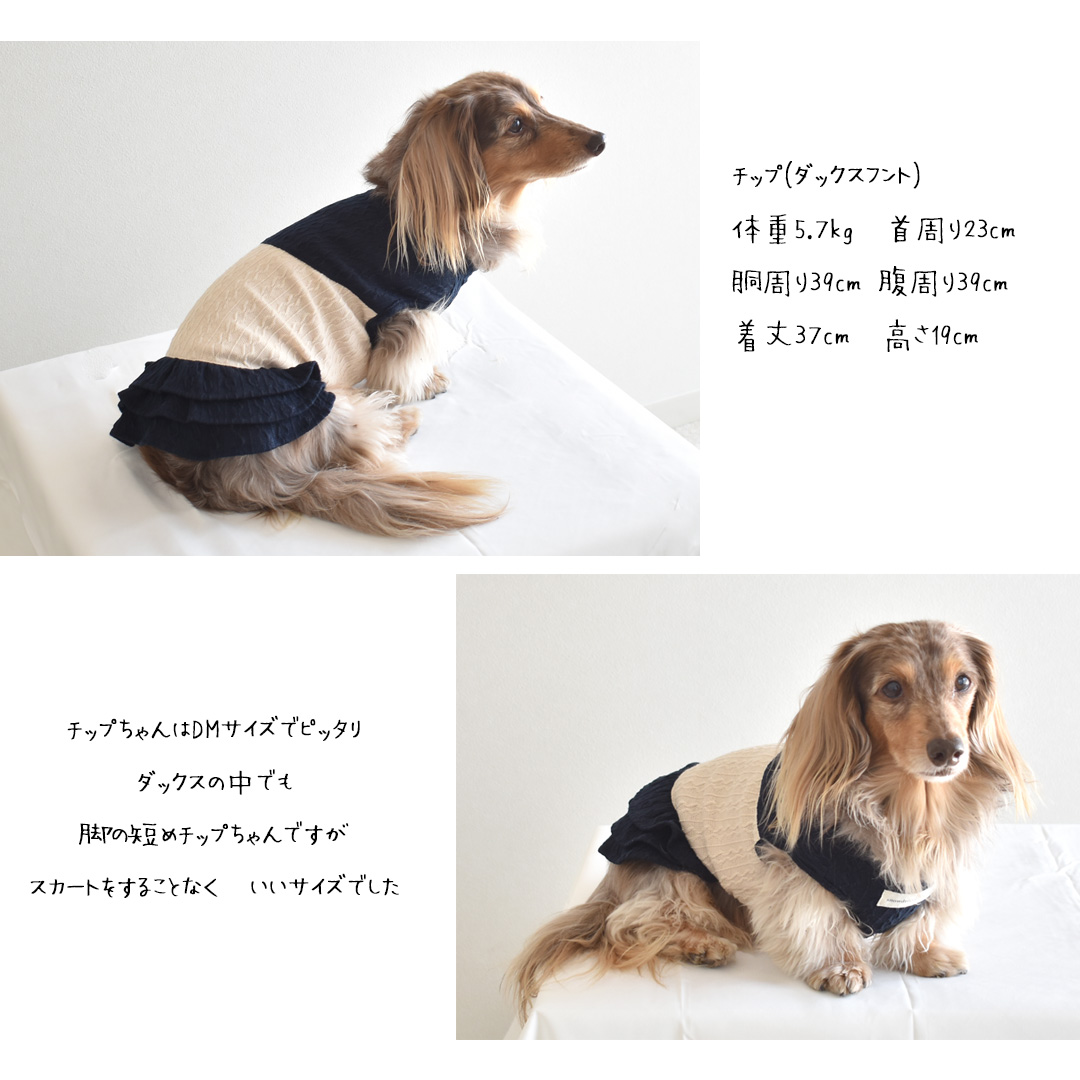 (在庫処分SALEの為返品交換不可)ダックスサイズ ケーブル切り替え ワンピース 名入れ 刺繍 着せやすい snowdrop ドッグ ロゴ服 ゆうパケット対応 | ブランド登録なし | 01