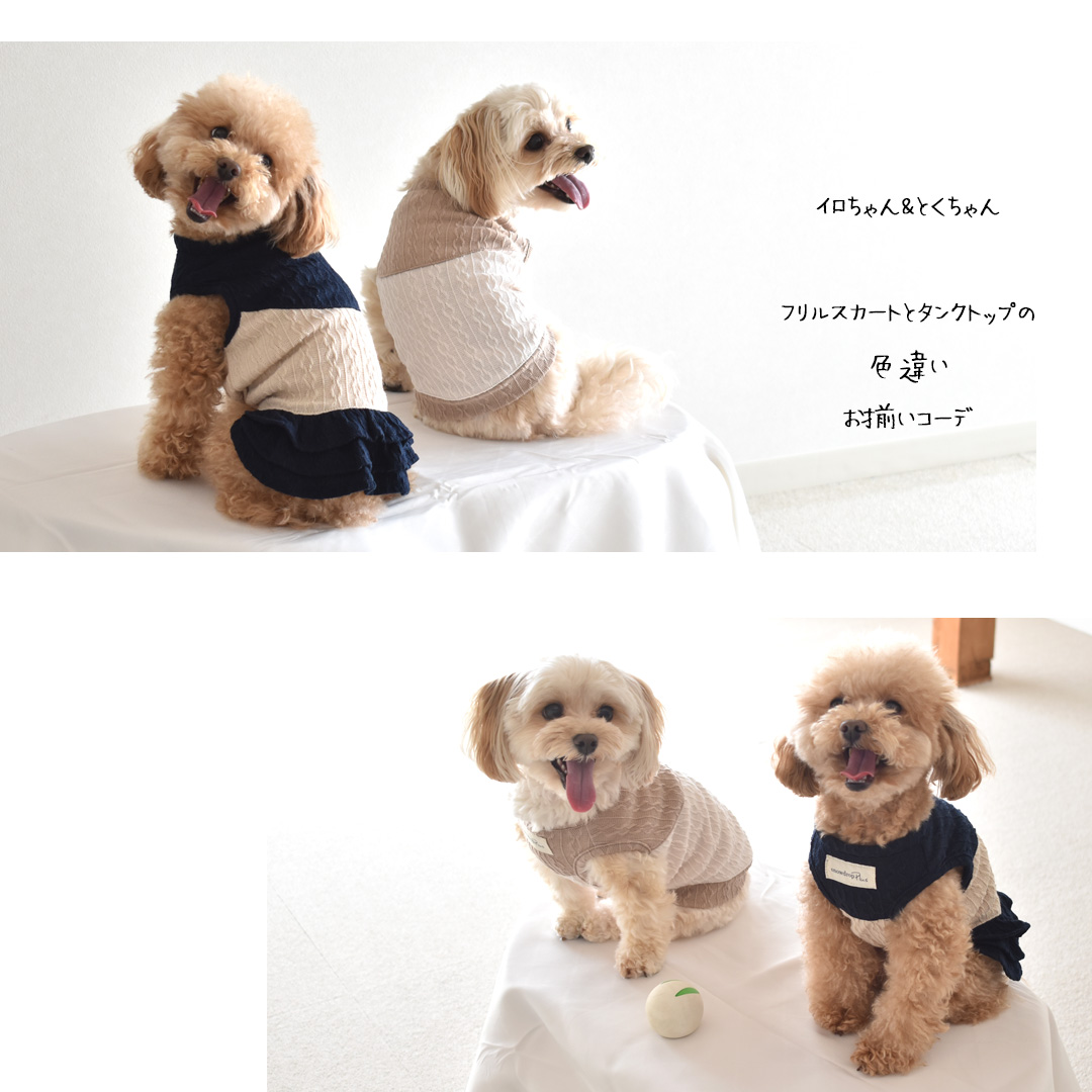 ケーブル生地 切り替え ワンピース 着せやすい 名入れ 刺繍のびのび 犬服 犬 服 snowdrop ワンピース 犬 dog 服 ロゴ服  ゆうパケット対応