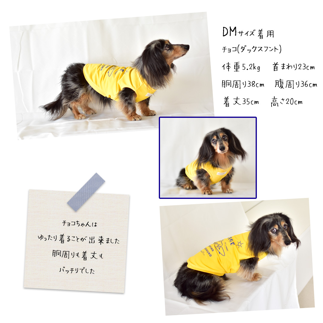 サーフィンダックス タンクトップ ダックス柄 タンクトップ ロゴ ダックス のびのび ストレッチ 犬 服 タンク ノースリーブ snowdrop  ゆうパケット対応