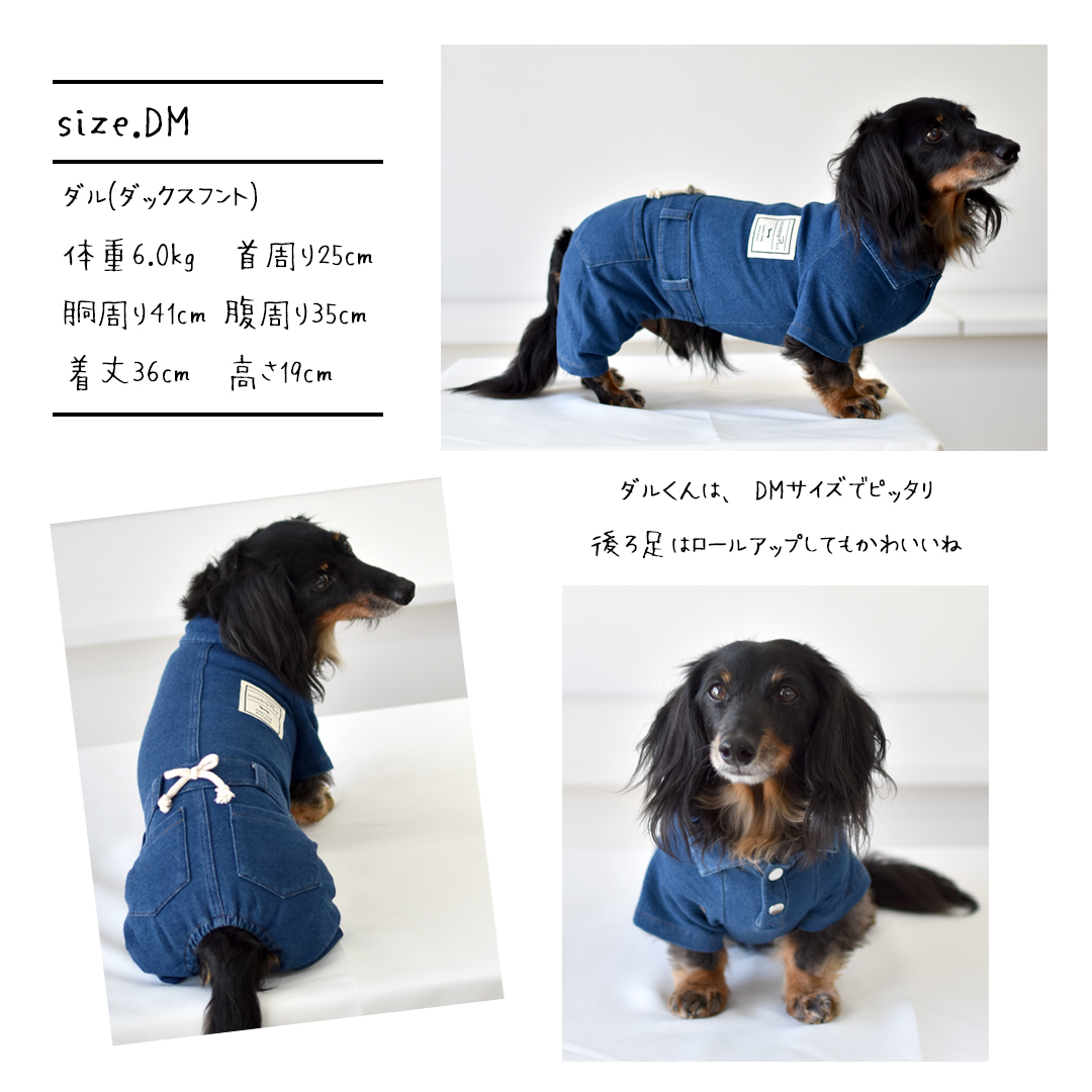 襟付きデニムオールインワン 名入れ 刺繍　ダックス ロンパース カバーオール ストレッチデニム つなぎ 犬服 犬用品 ゆうパケット対応