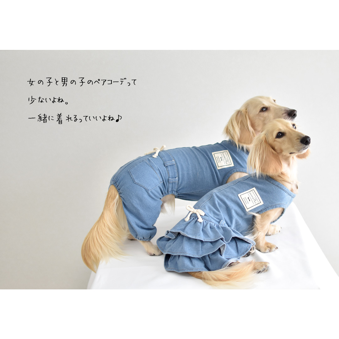 ペット服　Mサイズ ペットウェア ドッグウェア ペット服 犬服 犬用 カレッジ