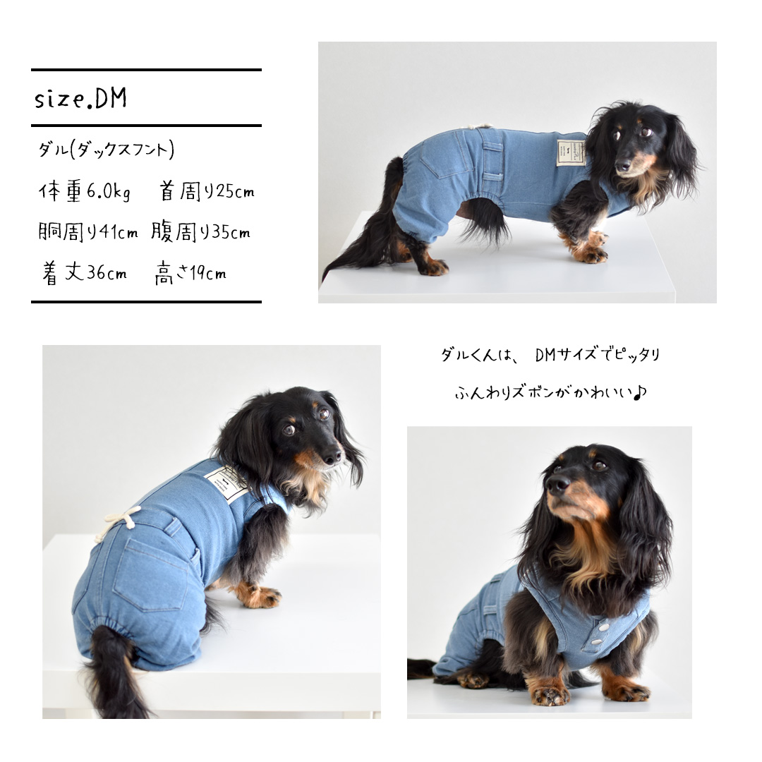 デニムオールインワン 名入れ 刺繍 ダックスサイズ のびのびストレッチデニム ロンパース カバーオール つなぎ 犬服 犬の服 ゆうパケット対応 :  w020d : snowdrop - 通販 - Yahoo!ショッピング