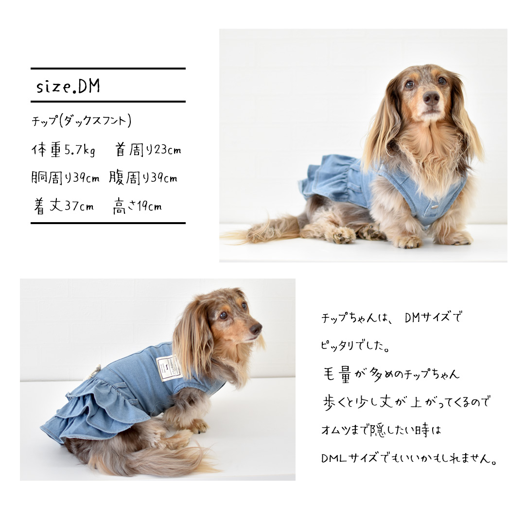 デニムオールインワン 名入れ 刺繍 ダックスサイズ のびのびストレッチデニム ロンパース カバーオール つなぎ 犬服 犬の服 ゆうパケット対応 :  w020d : snowdrop - 通販 - Yahoo!ショッピング