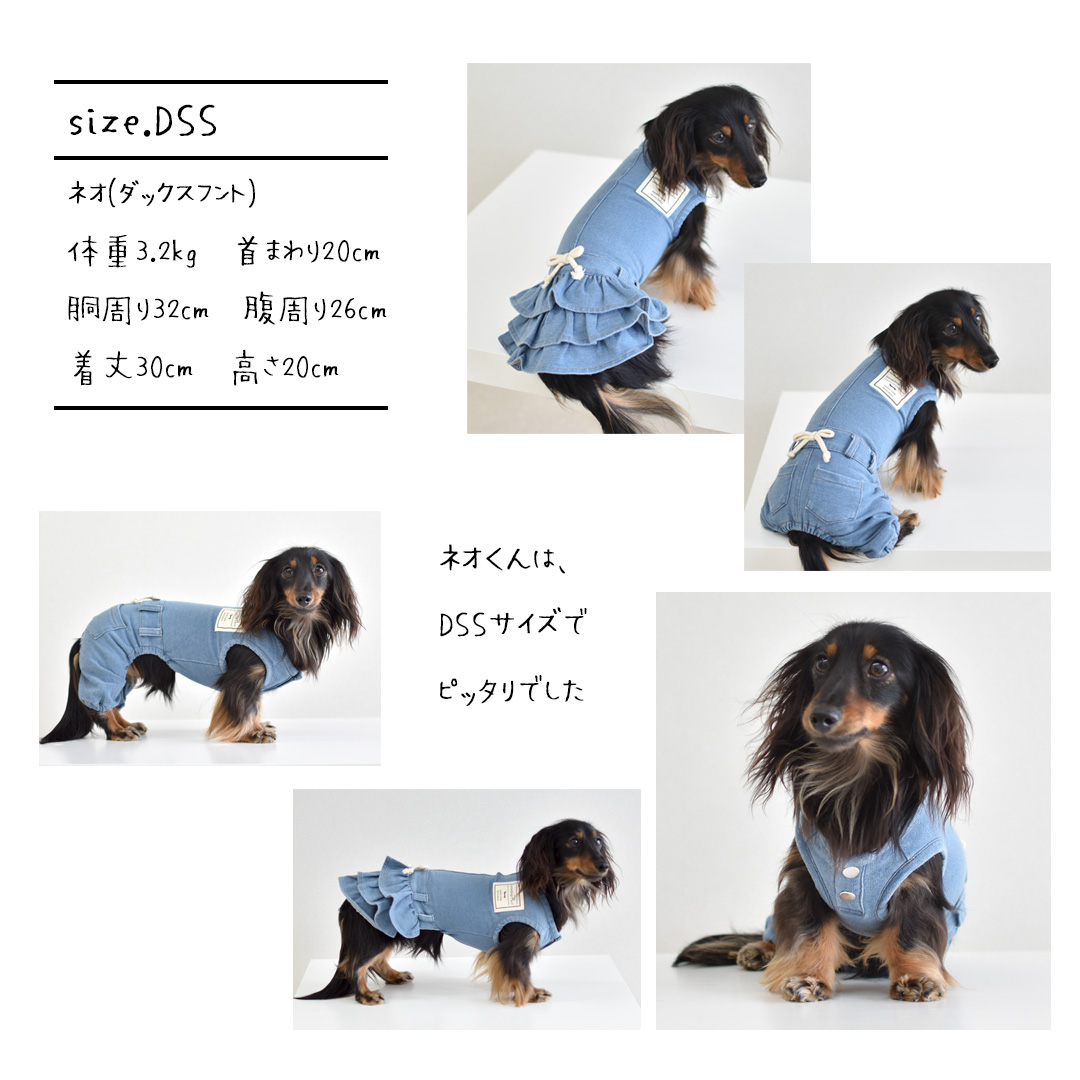 デニムオールインワン 名入れ 刺繍 ダックスサイズ のびのびストレッチデニム ロンパース カバーオール つなぎ 犬服 犬の服 ゆうパケット対応 :  w020d : snowdrop - 通販 - Yahoo!ショッピング