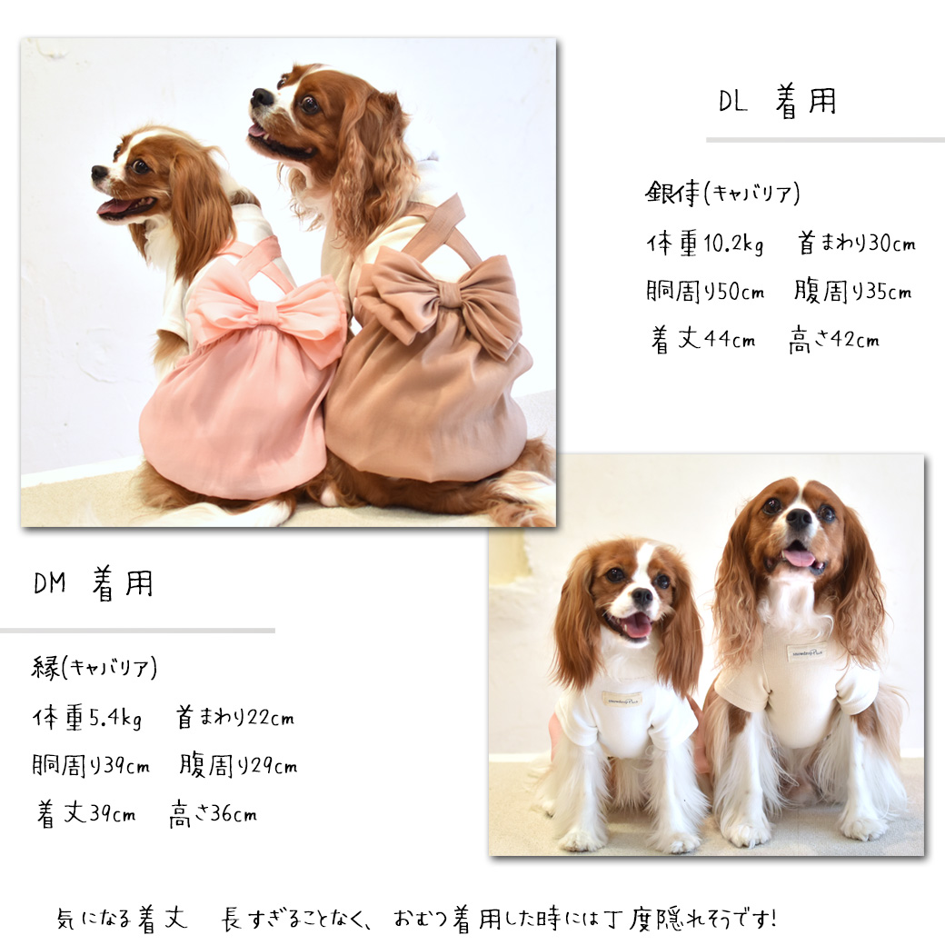 (在庫処分SALEの為返品交換不可)シフォンワンピース 重ね着　リブ　ふんわり　可愛い　のびのび　ストレッチ　snowdrop ゆうパケット対応 | ブランド登録なし | 10