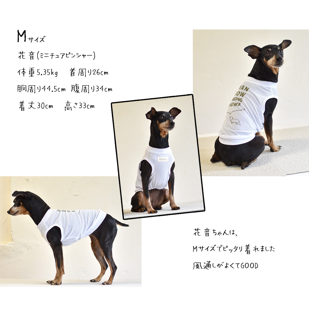 犬服ハンドメイド　タンクトップ(ペリロコ) オリジナルロゴ メッシュタンクトップ 犬 夏服 服 メッシュ 涼しい