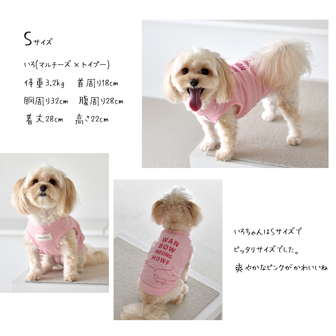 オリジナルロゴ メッシュタンクトップ 犬 夏服 服 メッシュ 涼しい