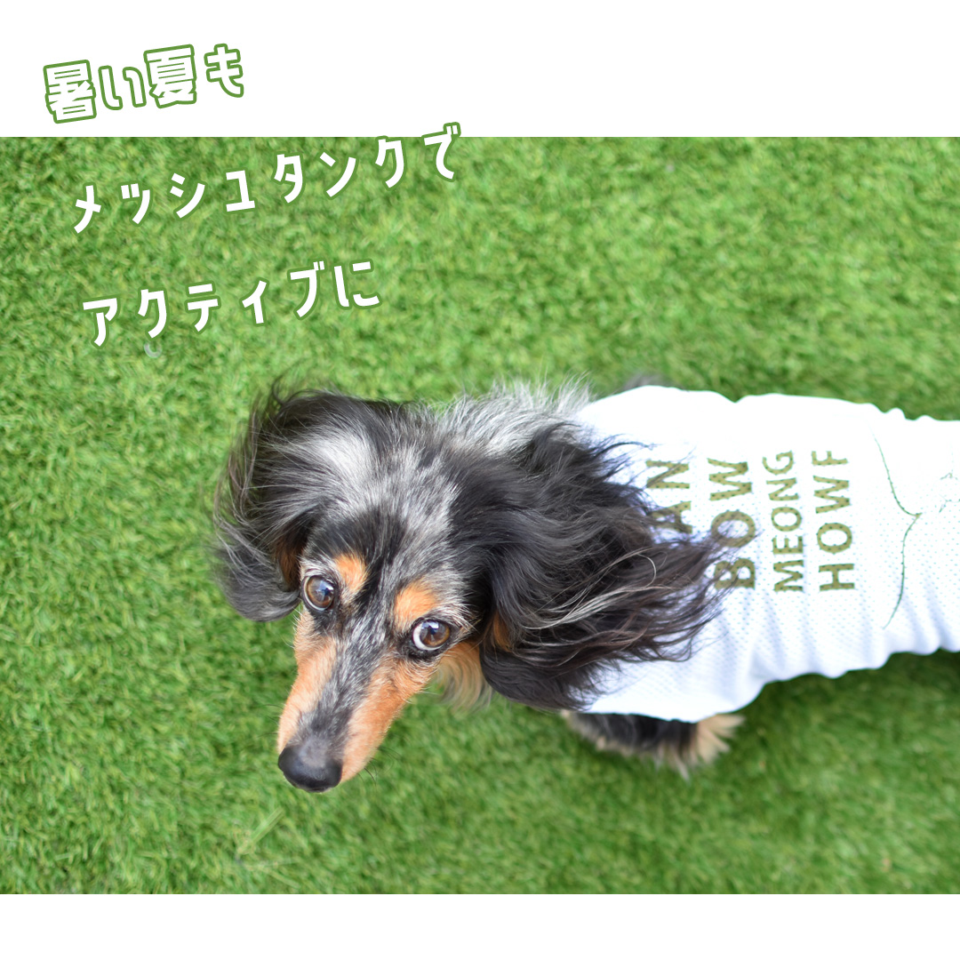newダックスサイズ オリジナルロゴ 夏服 メッシュタンクトップ 犬 服