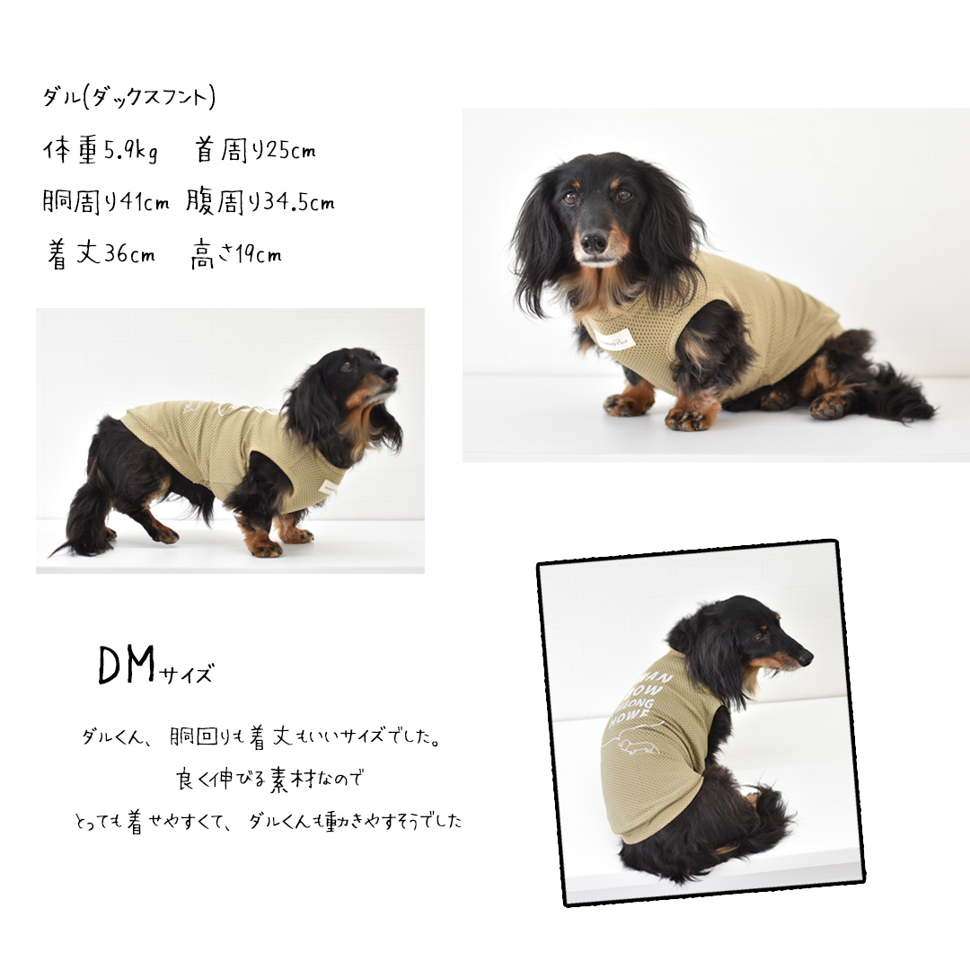 newダックスサイズ オリジナルロゴ 夏服 メッシュタンクトップ 犬 服 メッシュ 涼しい ドッグウェア snowdrop タンクトップ  ゆうパケット対応