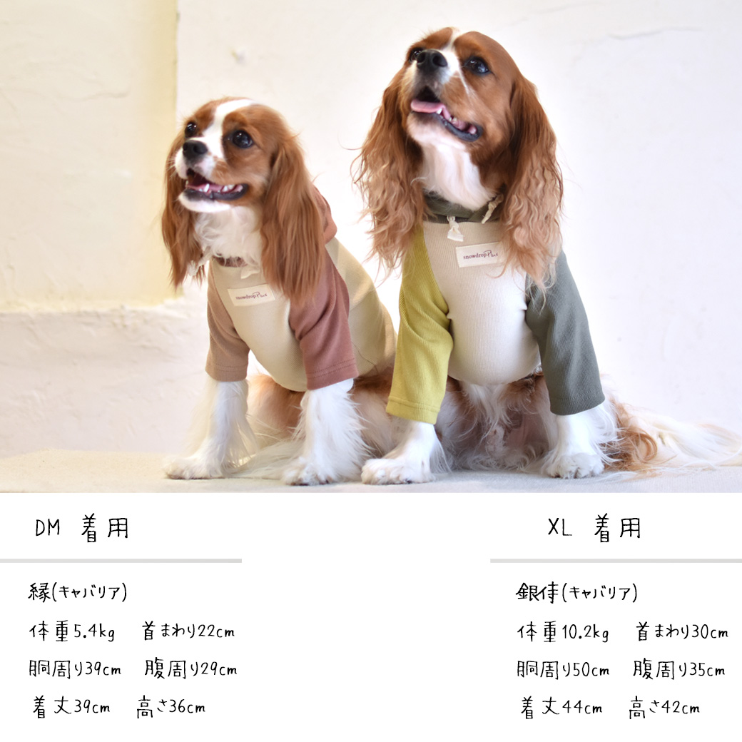 犬服、アクセサリー（色：カーキ系）｜犬用品｜ペット用品、生き物