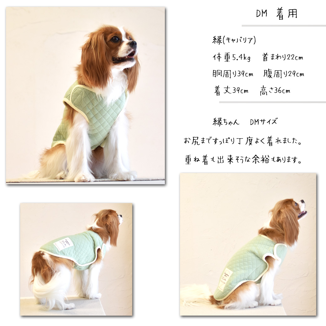 キルティングベスト 名入れ 刺繍 介護 着せやすい 介護服 シニア 犬 DOG ドッグ ペット服 マジックテープ ゆうパケット対応｜snowdrop｜02