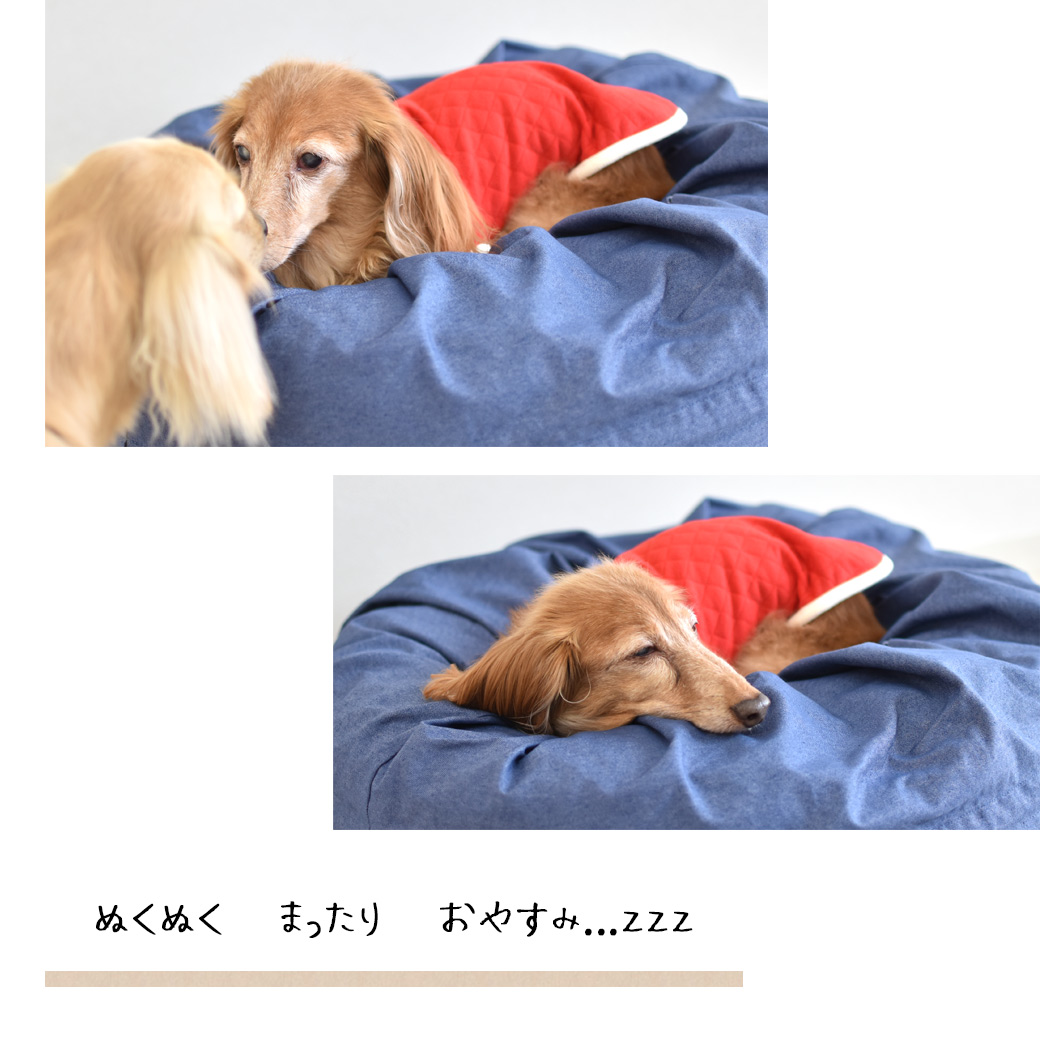 ダックスサイズ　キルティングベスト　名入れ　刺繍　介護　着せやすい　介護服　シニア　犬　DOG　ドッグ　ペット服　マジックテープ　ゆうパケット対応 | ブランド登録なし | 10