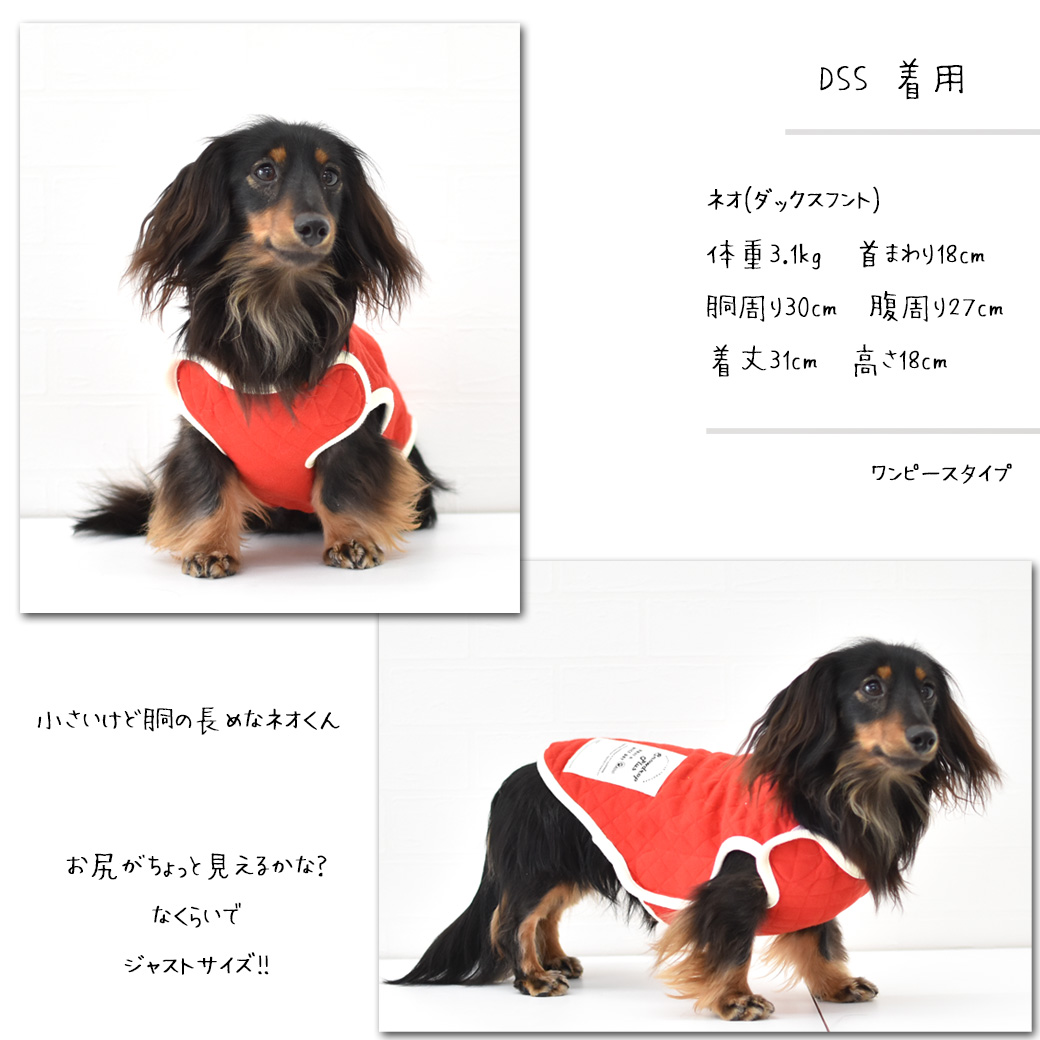 ダックス キルティングベスト 名入れ 刺繍 介護 着せやすい 介護服 シニア 犬 DOG ペット服 マジックテープ ゆうパケット対応｜snowdrop｜02