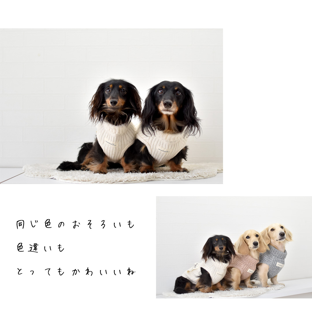 犬 服 ニットの商品一覧 通販 - Yahoo!ショッピング