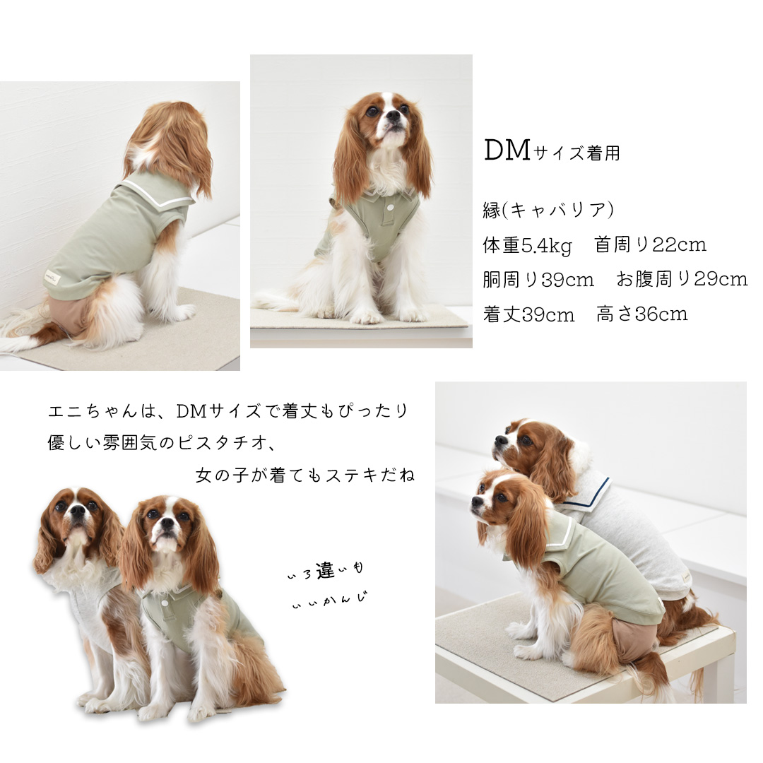 ダックスサイズ セーラー タンクトップ 名入れ 刺繍 犬 服 snowdrop のびのび　着せやすい ゆうパケット対象