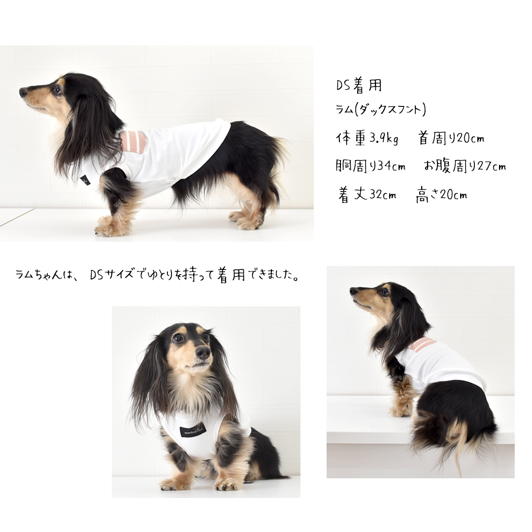 オーナーとお揃い ポケットボーダー タンクトップ 犬 服 着せやすい 犬 タンクトップ snowdrop ゆうパケット対応 | ブランド登録なし | 14