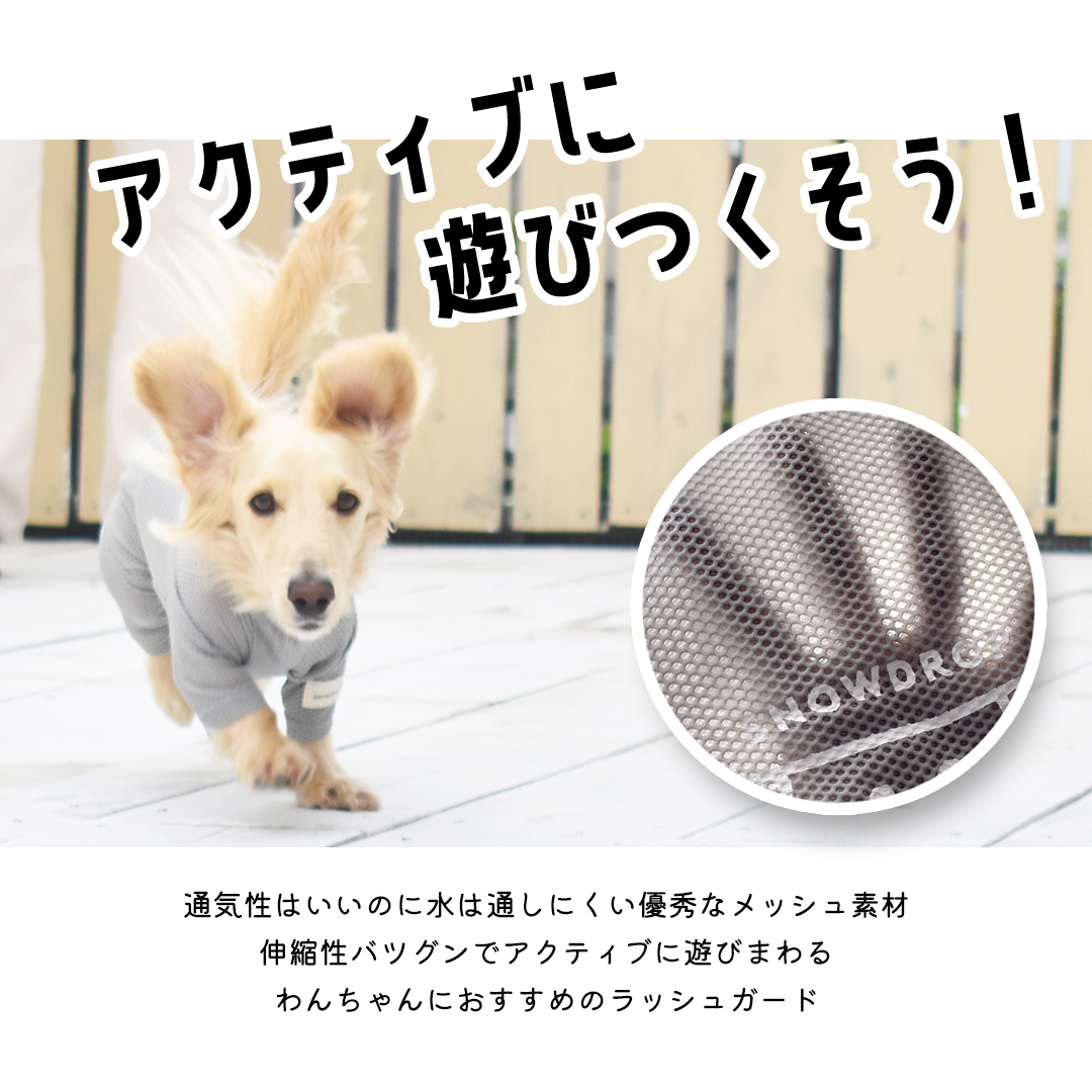 ロゴメッシュカバーオール　水着 ラッシュガード snowdrop メッシュ アクティブロンパースストレッチ のびのび 犬 夏服 犬服 ゆうパケット対応｜snowdrop｜05