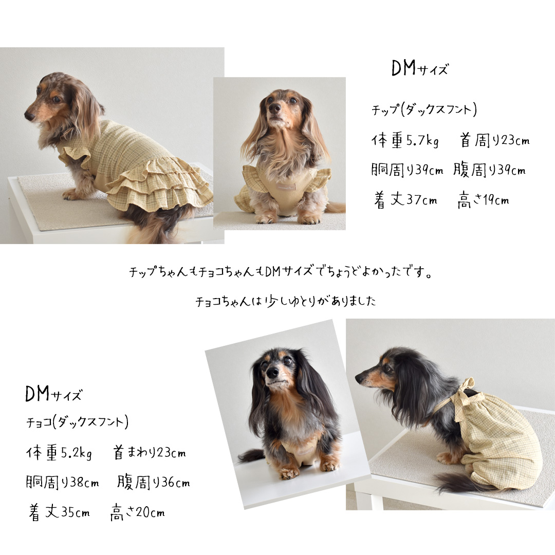 チェックパンツ＆ワンピース 涼しい 夏 服 犬服 犬用品 犬の服 犬 服 犬用品 dog ペット服 犬の服 snowdrop ペット petto ゆうパケット対象｜snowdrop｜10