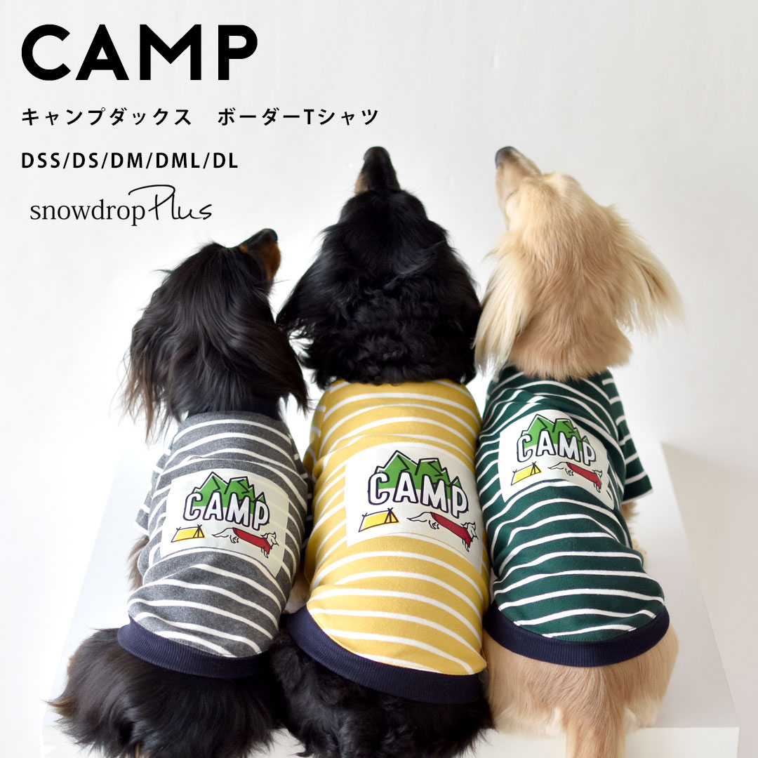 DAKS ボーダー Tシャツ 40 ダックス DAKS ボーダー ストライプ 半袖Tシャツ サイズ40 美品 ダックス