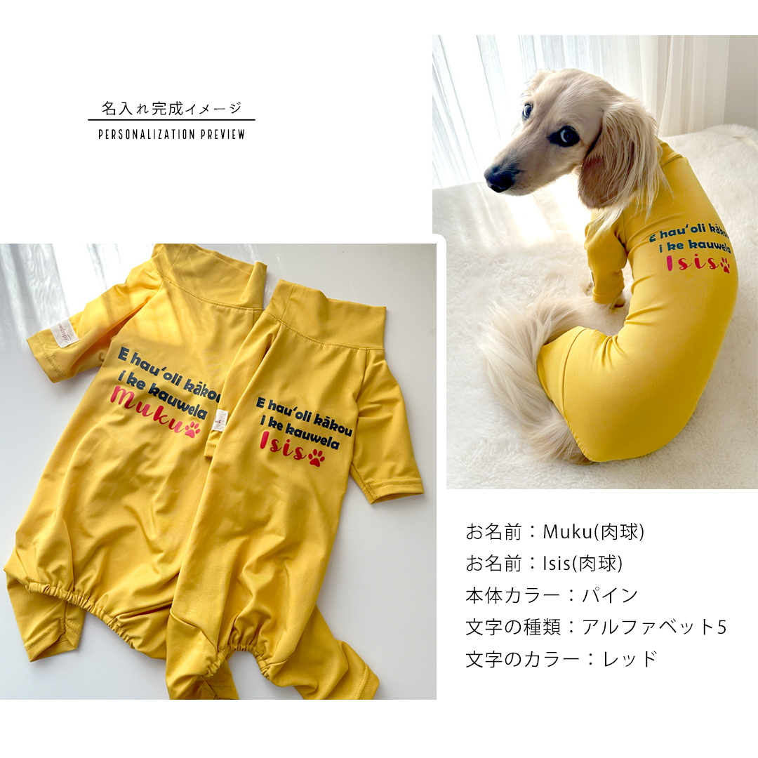 ロゴ水着 ダックスサイズ ラッシュガード snowdrop アクティブ