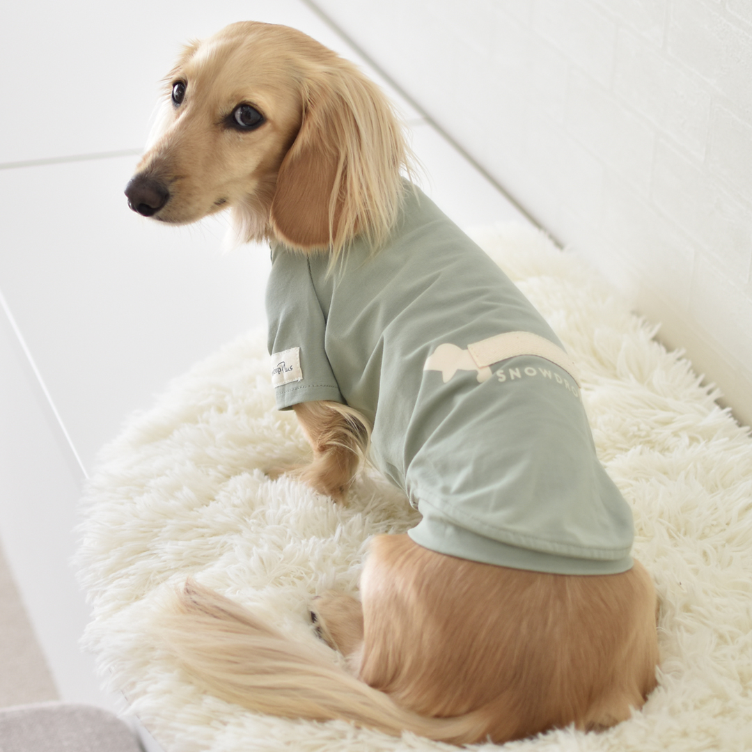 ダックスフレンチTシャツ ダックス 名入れ 刺繍 犬 服 着せやすい