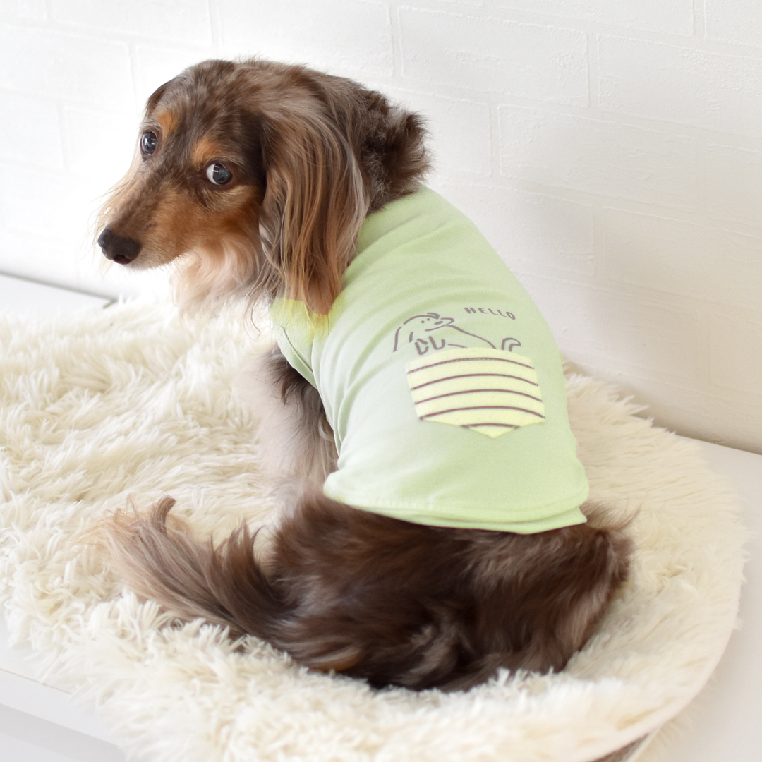 ポケット付きタンクトップ ダックスサイズ タンクトップ 犬 服snowdrop