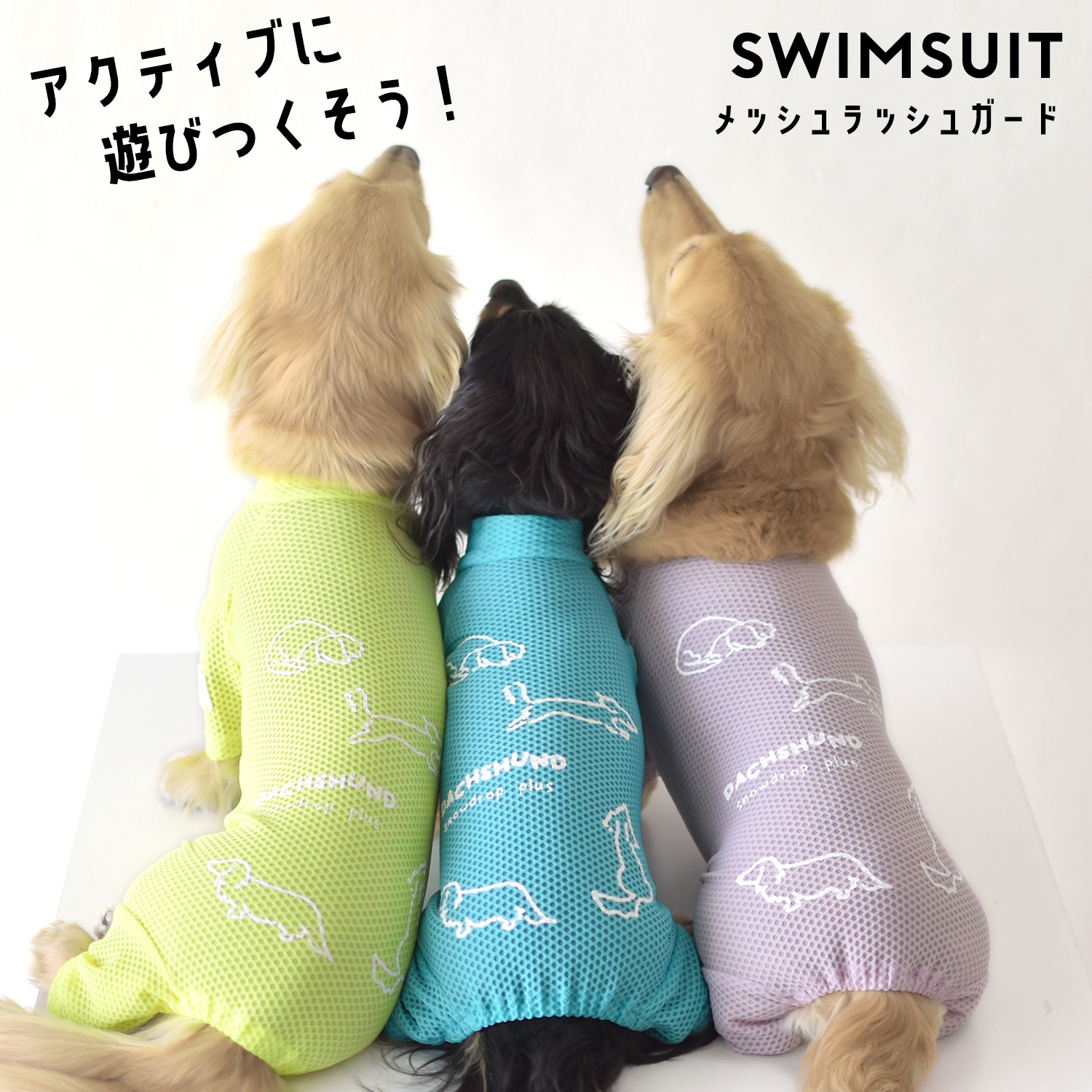 メッシュカバーオール ダックスサイズ 水着 ラッシュガード