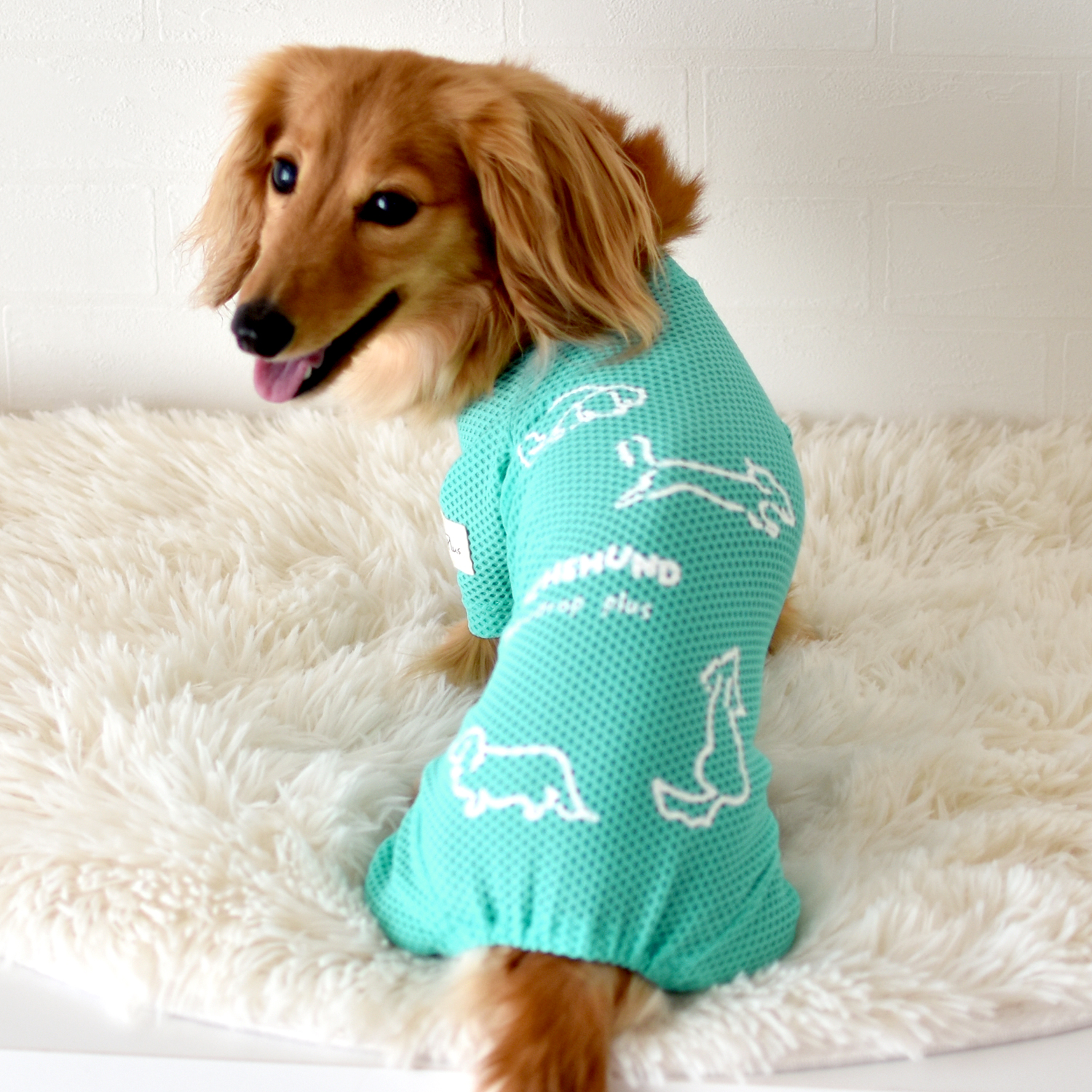 メッシュカバーオール ダックスサイズ 水着 ラッシュガード snowdrop