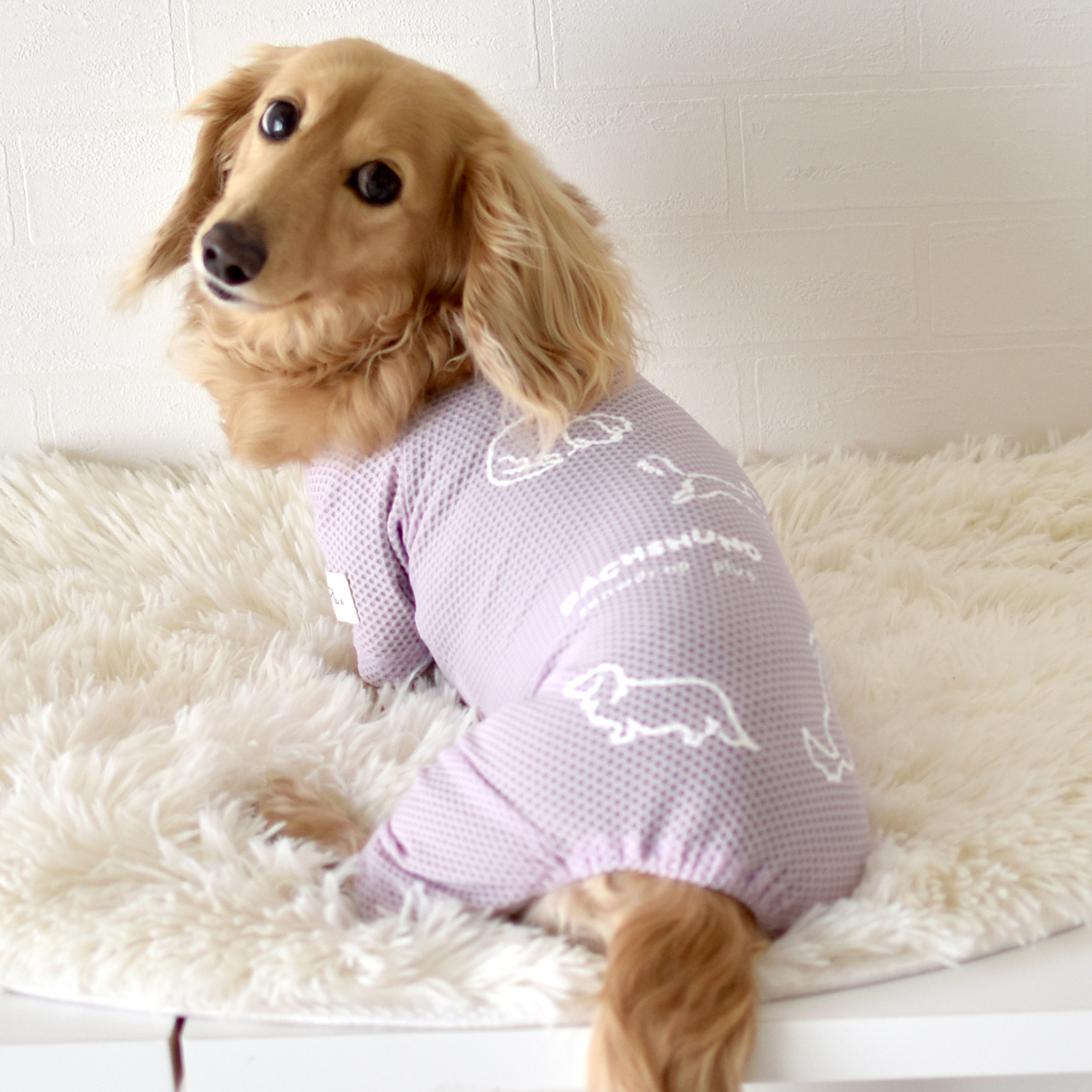 メッシュカバーオール ダックスサイズ 水着 ラッシュガード snowdrop メッシュ ロンパース　オールインワン ストレッチ のびのび 犬 夏服 犬服 ゆうパケット対応 | ブランド登録なし | 02