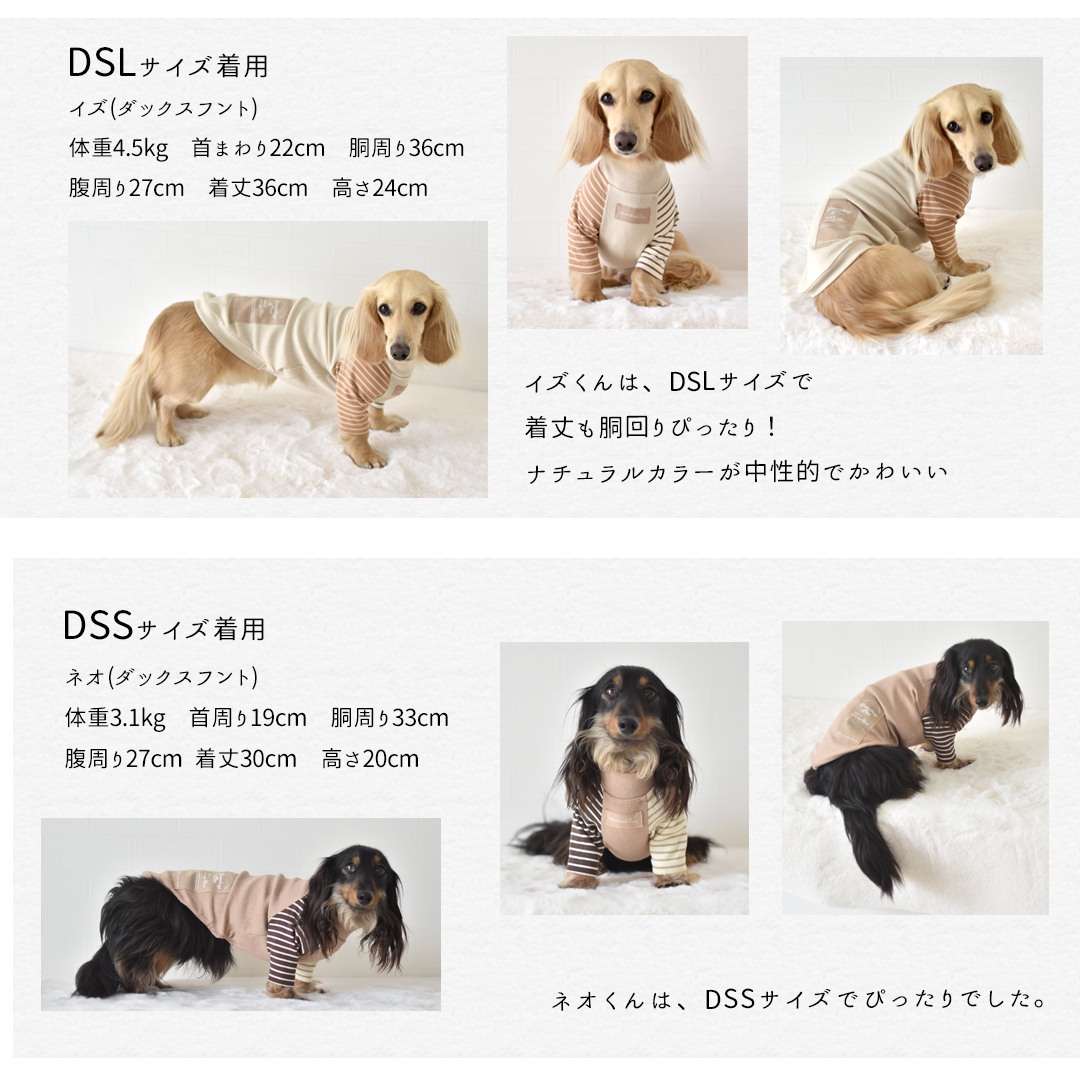 ダックスサイズ new 両袖ボーダーTシャツ 犬服 snowdrop 着せやすい